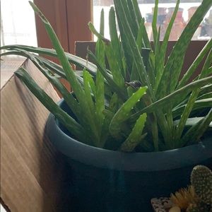 Meet your Posher, Melinda